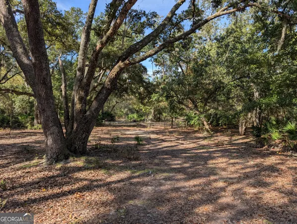 a view of a dry yard with trees