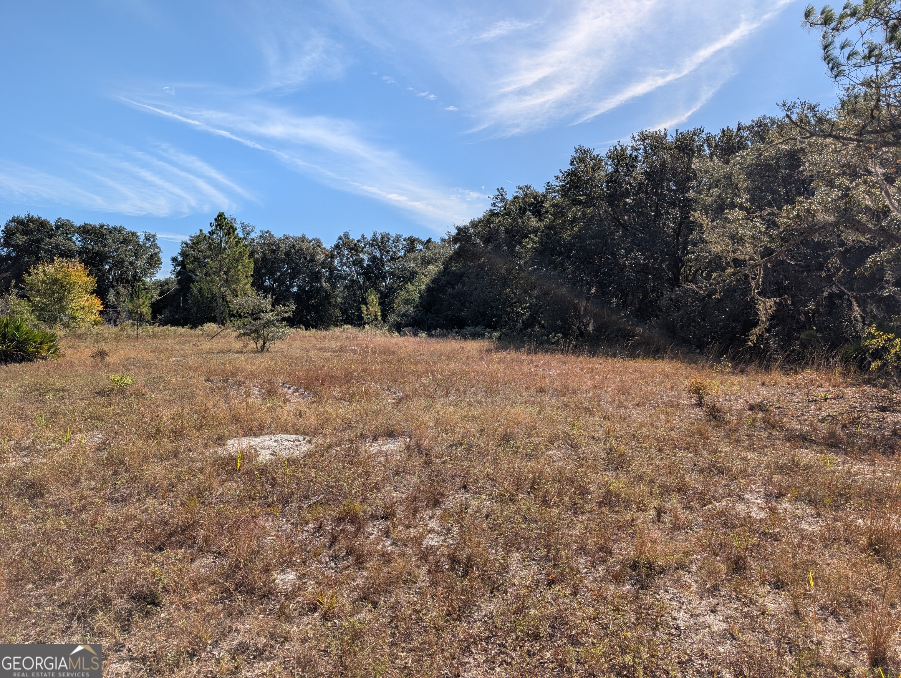 779 Ralph Davis Road Folkston, GA 31537 - Photo 32 of 38