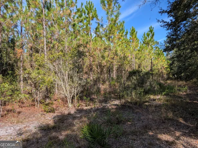 $375,000 | 779 Ralph Davis Road, Folkston, GA 31537