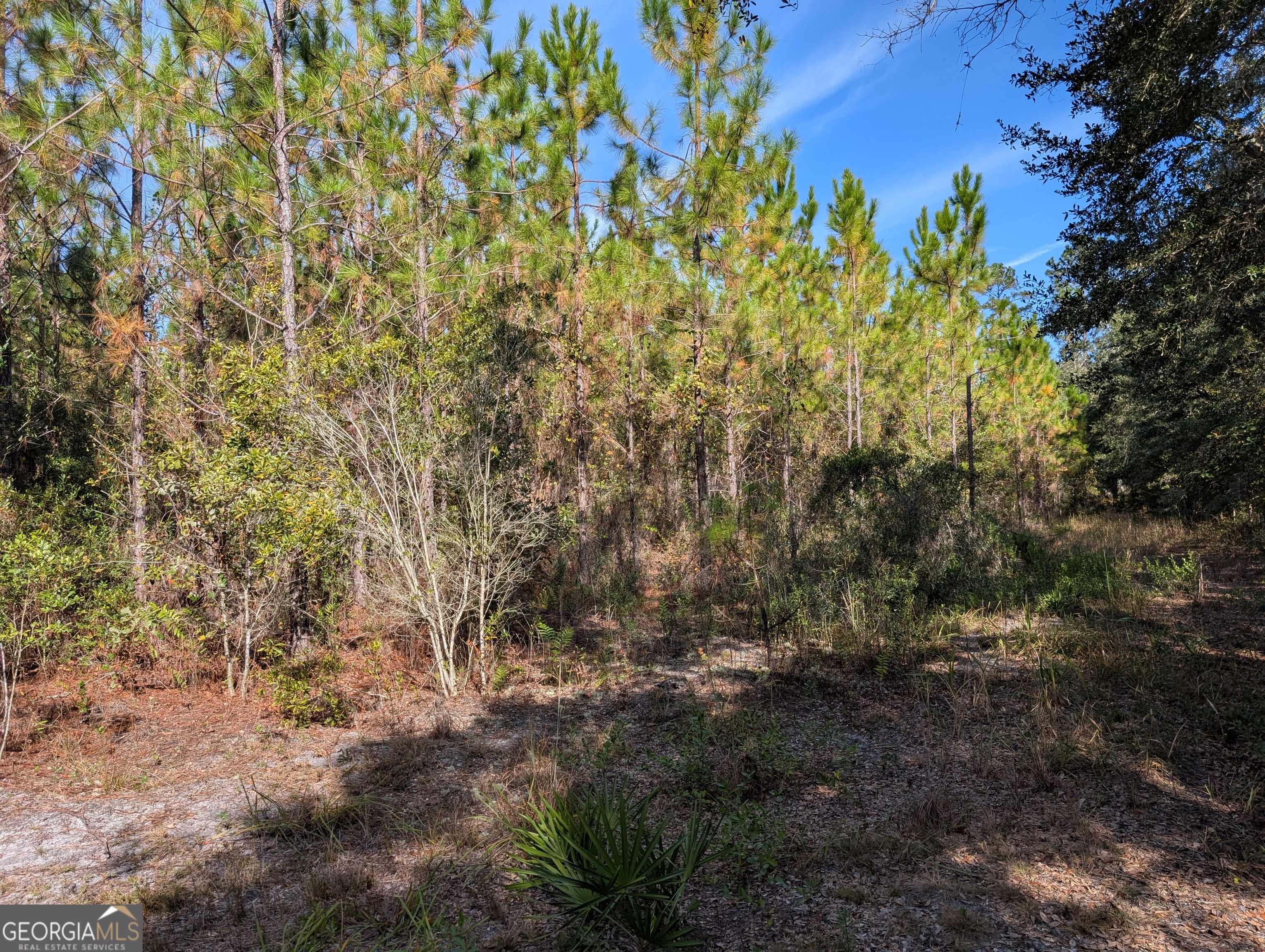 779 Ralph Davis Road Folkston, GA 31537 - Photo 35 of 38