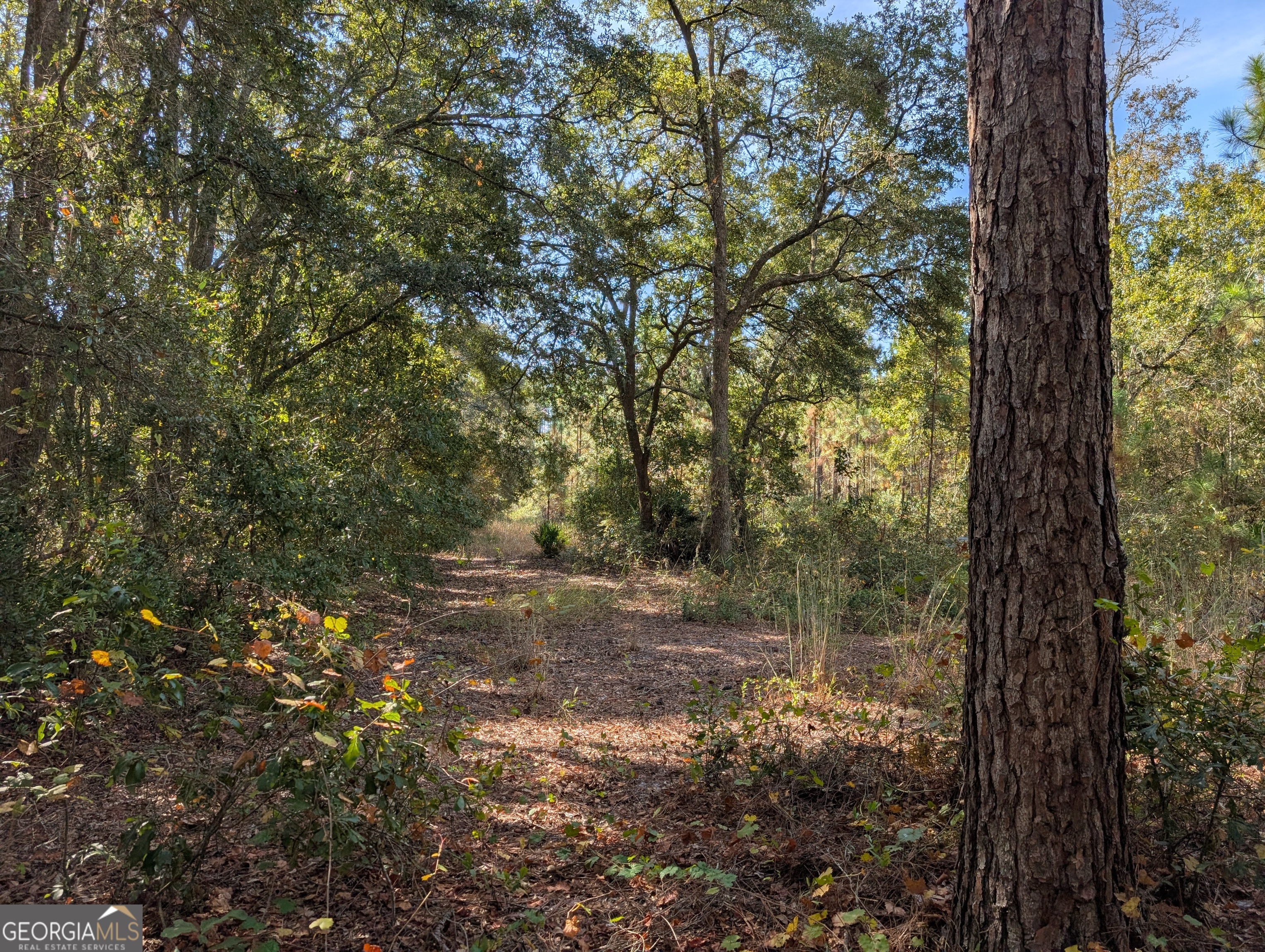 779 Ralph Davis Road Folkston, GA 31537 - Photo 36 of 38