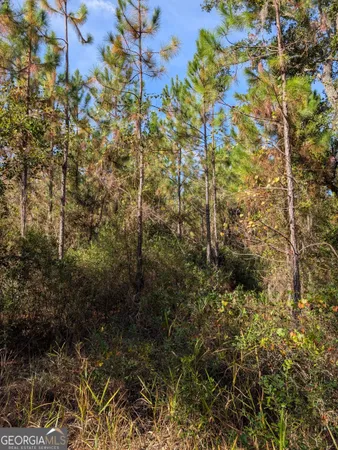 $375,000 | 779 Ralph Davis Road, Folkston, GA 31537