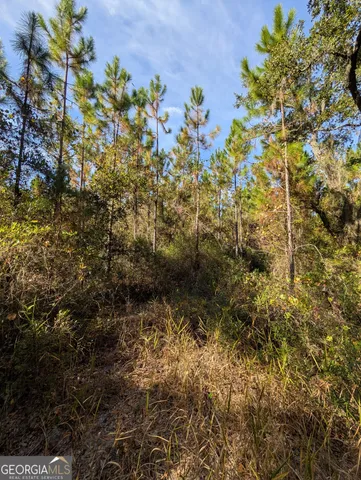 $375,000 | 779 Ralph Davis Road, Folkston, GA 31537