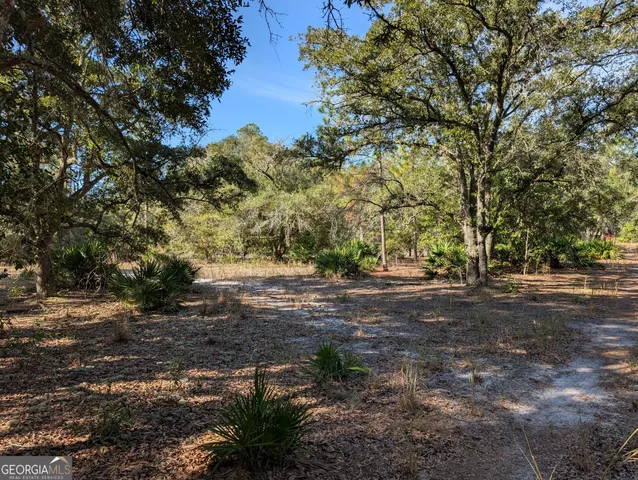 $375,000 | 779 Ralph Davis Road, Folkston, GA 31537