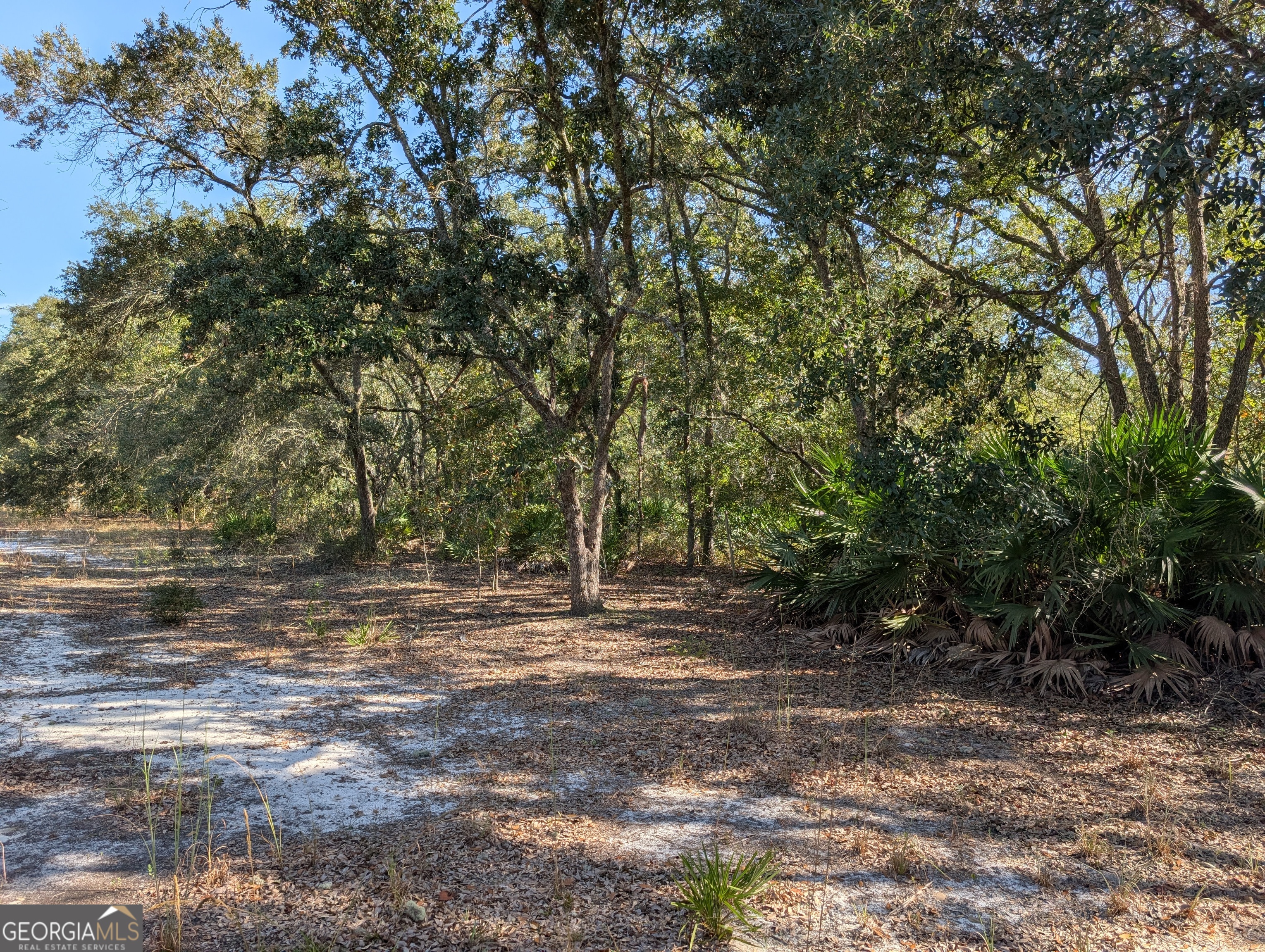 779 Ralph Davis Road Folkston, GA 31537 - Photo 5 of 38