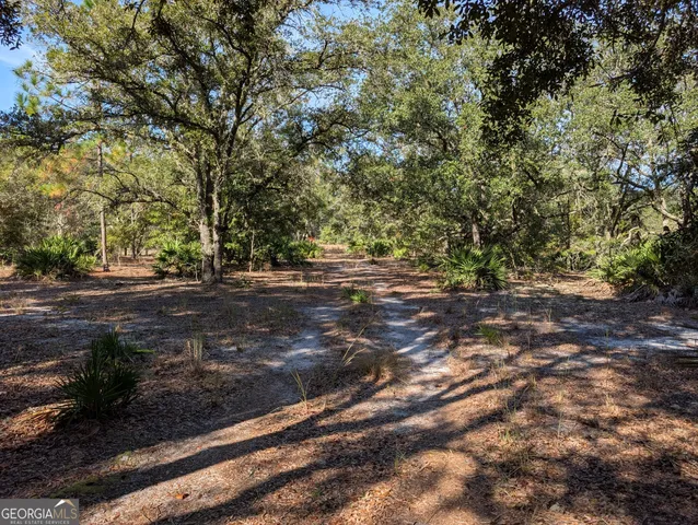$375,000 | 779 Ralph Davis Road, Folkston, GA 31537