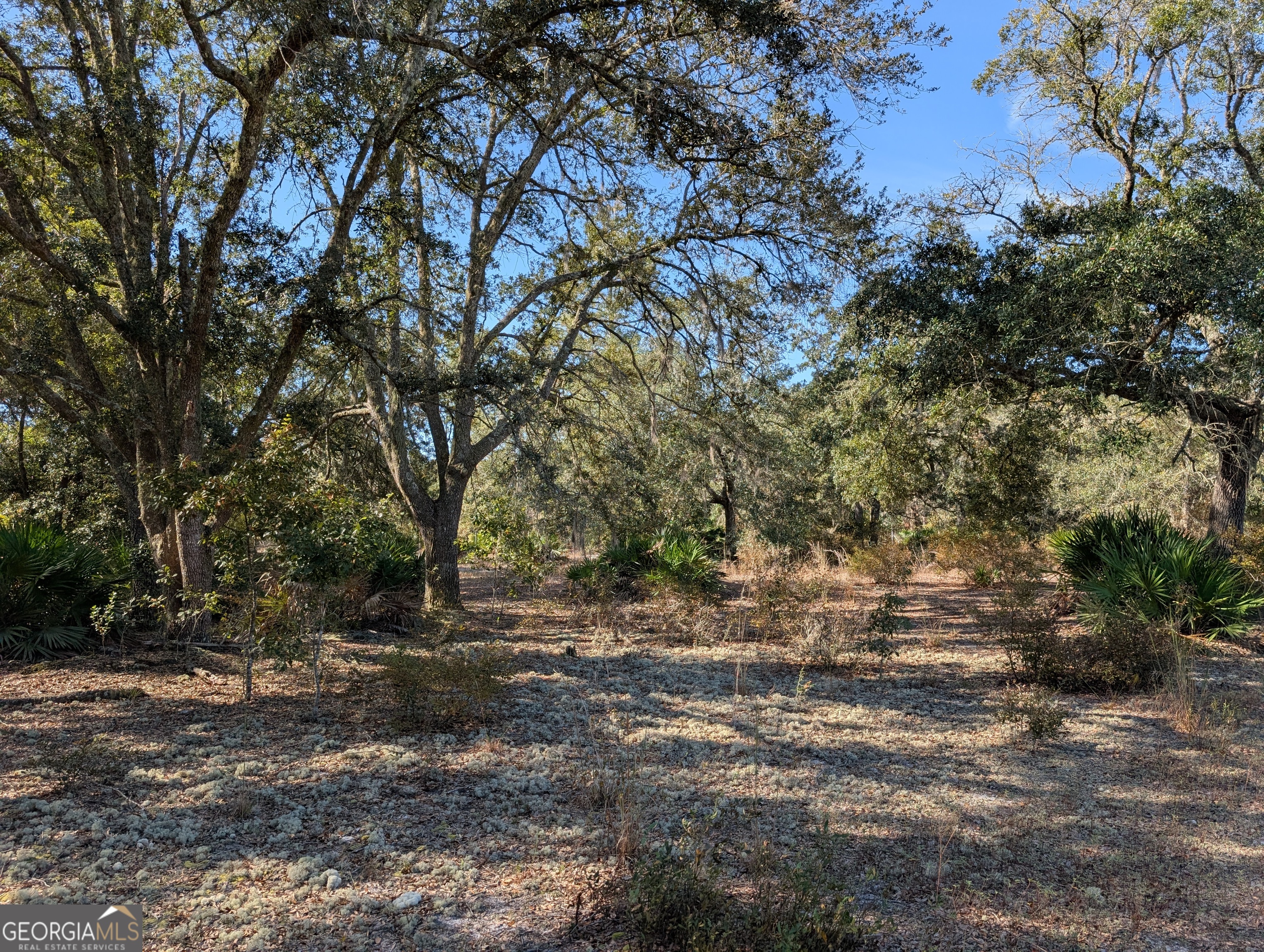 779 Ralph Davis Road Folkston, GA 31537 - Photo 7 of 38