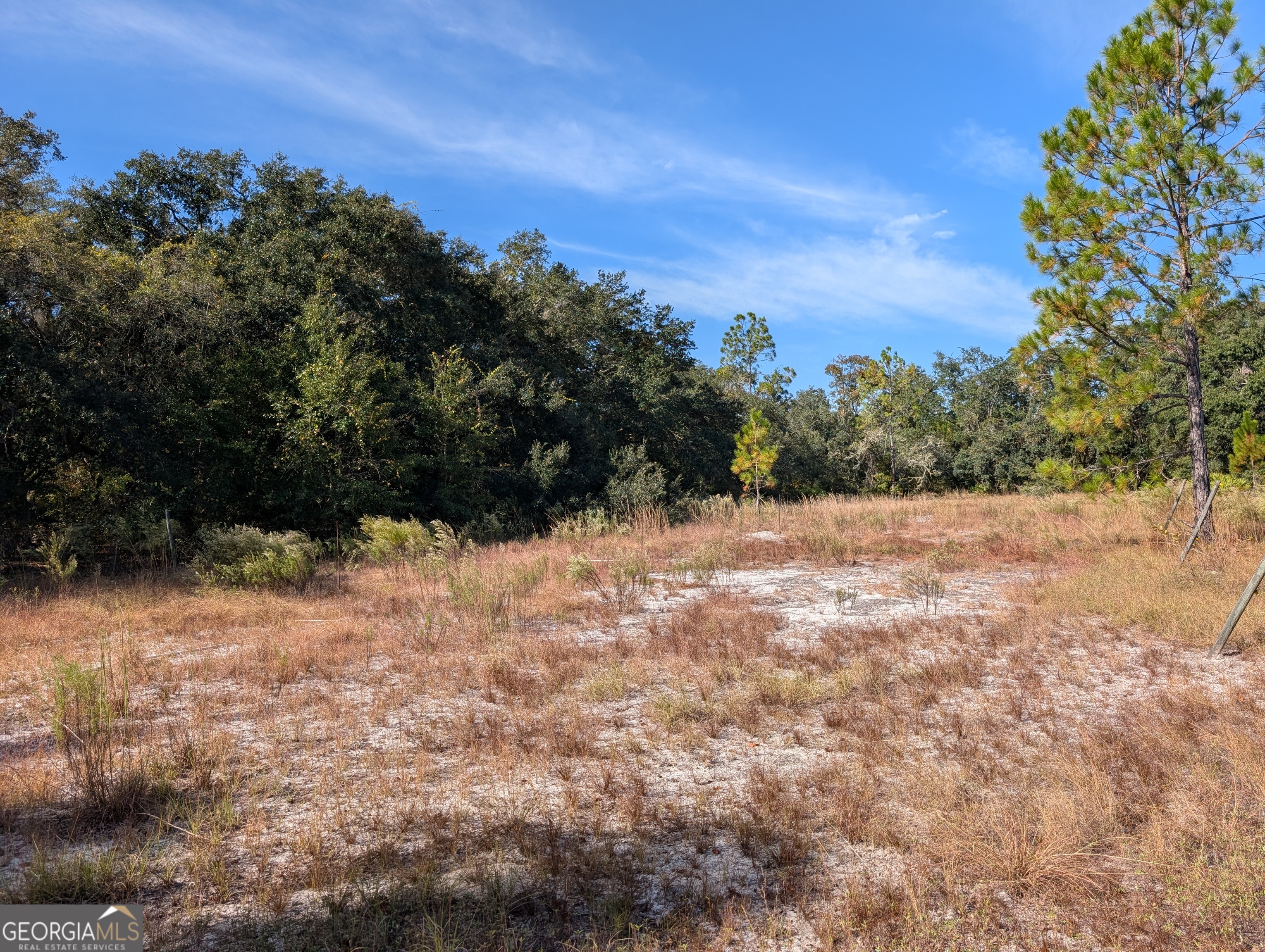 779 Ralph Davis Road Folkston, GA 31537 - Photo 8 of 38