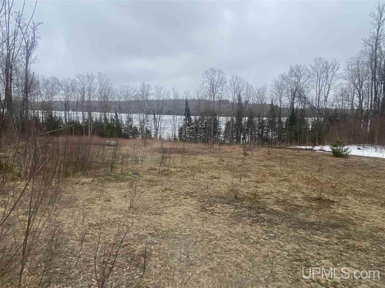Tbd West Tamarack Lake Road, Unit 17 Iron River, MI 49935 - Photo 34 of 45