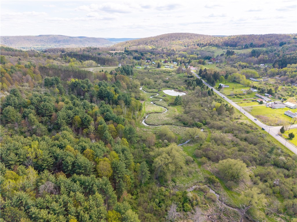 0 County Route 13 Bath, NY 14810 - Photo 9 of 26
