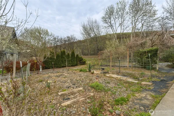 a view of a backyard