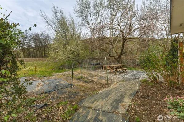 a big yard with lots of green space and plants