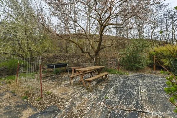 a view of a yard with an outdoor space