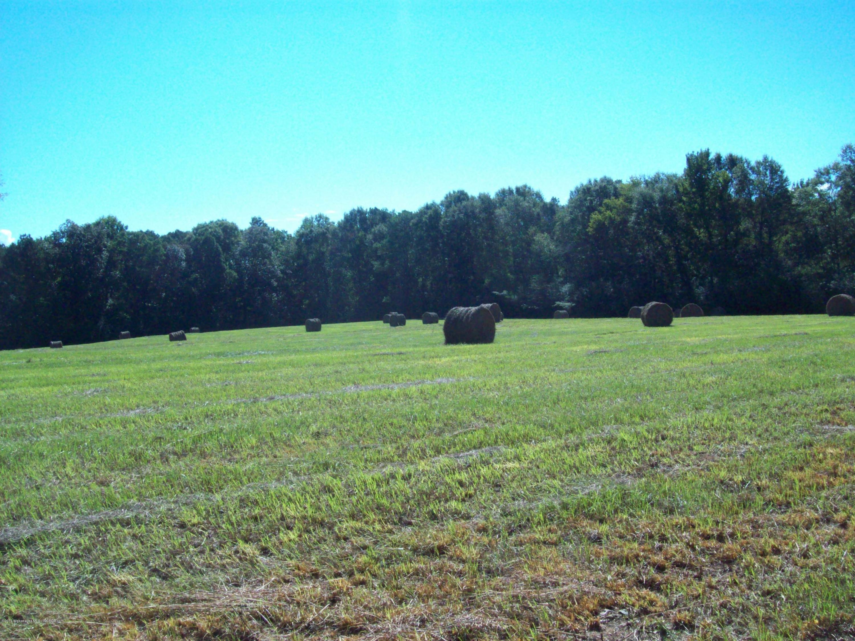 282 Sanders Road Jasper, AL 35504 - Photo 3 of 6 Gallery Image 3