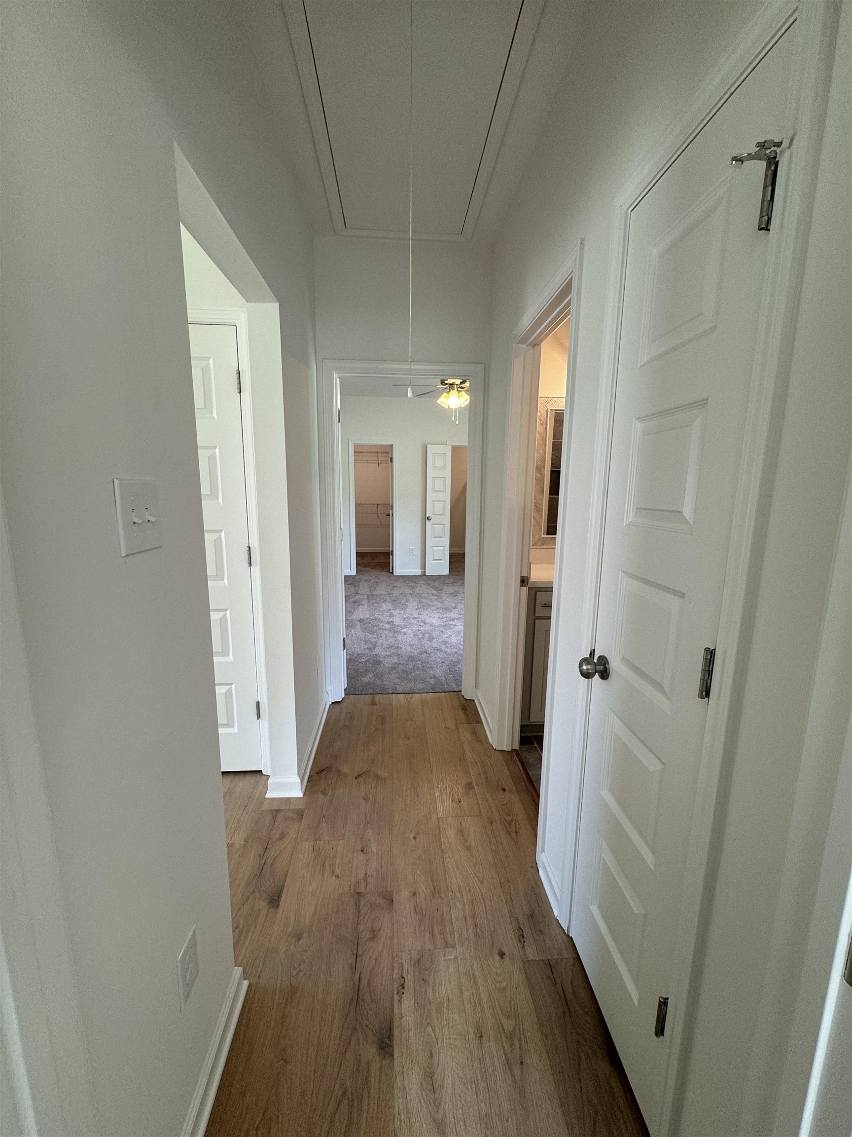 12370 South Main Street Somerville, TN 38068 - Photo 21 of 26 Wood-finish flooring extending through a hallway with white paneled doors