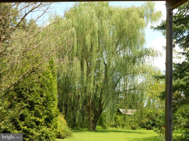 1263 Folly Road Warrington, PA 18976 - Photo 19 of 22 Back Yard