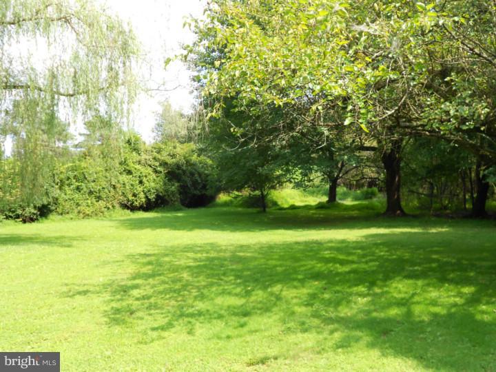 1263 Folly Road Warrington, PA 18976 - Photo 20 of 22 Back Yard