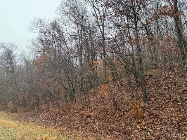 $199,900 | 19914 State Hwy MM, Glenallen, MO 63751