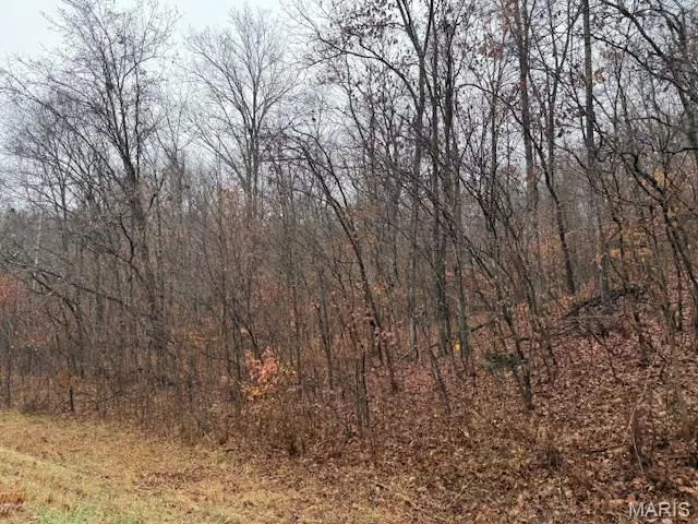 $199,900 | 19914 State Hwy MM, Glenallen, MO 63751