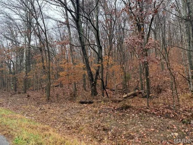 $199,900 | 19914 State Hwy MM, Glenallen, MO 63751