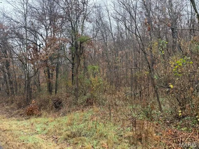 $199,900 | 19914 State Hwy MM, Glenallen, MO 63751