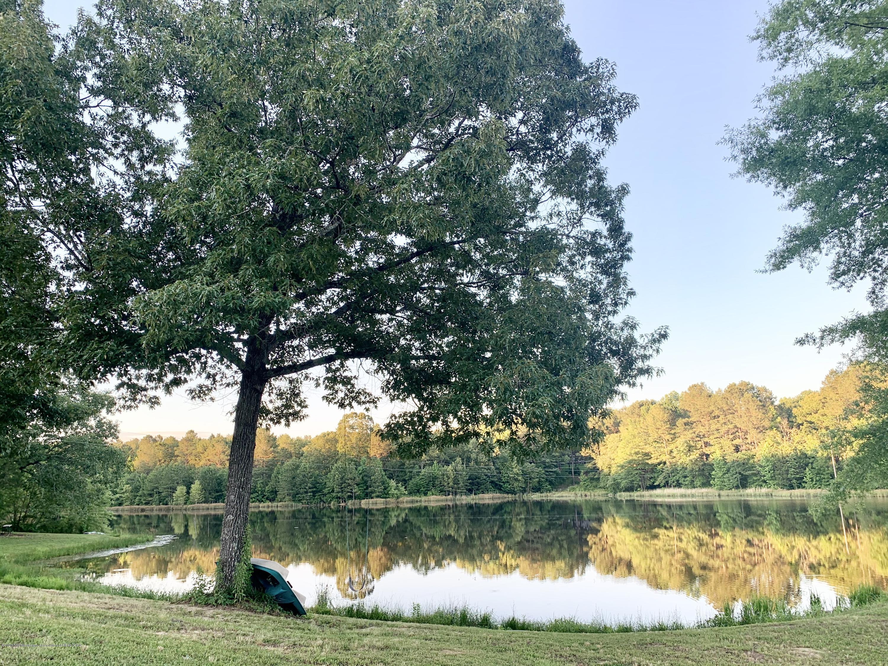 3770 Bethlehem Road Potts Camp, MS 38659 - Photo 6 of 37 3400844D-BCB8-440E-9D29-9830790BE674