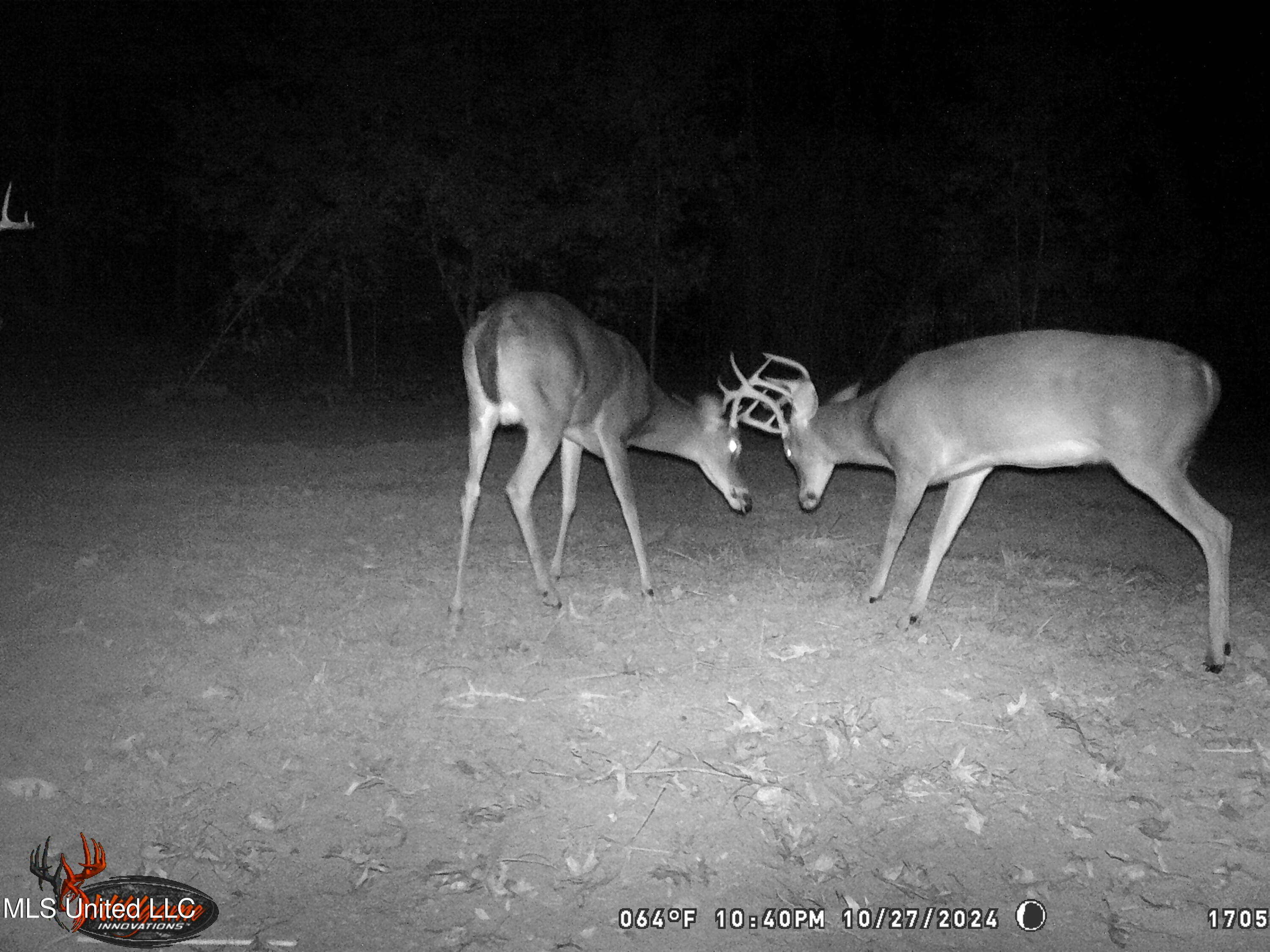 6037 Ms-33 Roxie, MS 39661 - Photo 1 of 8 Deer