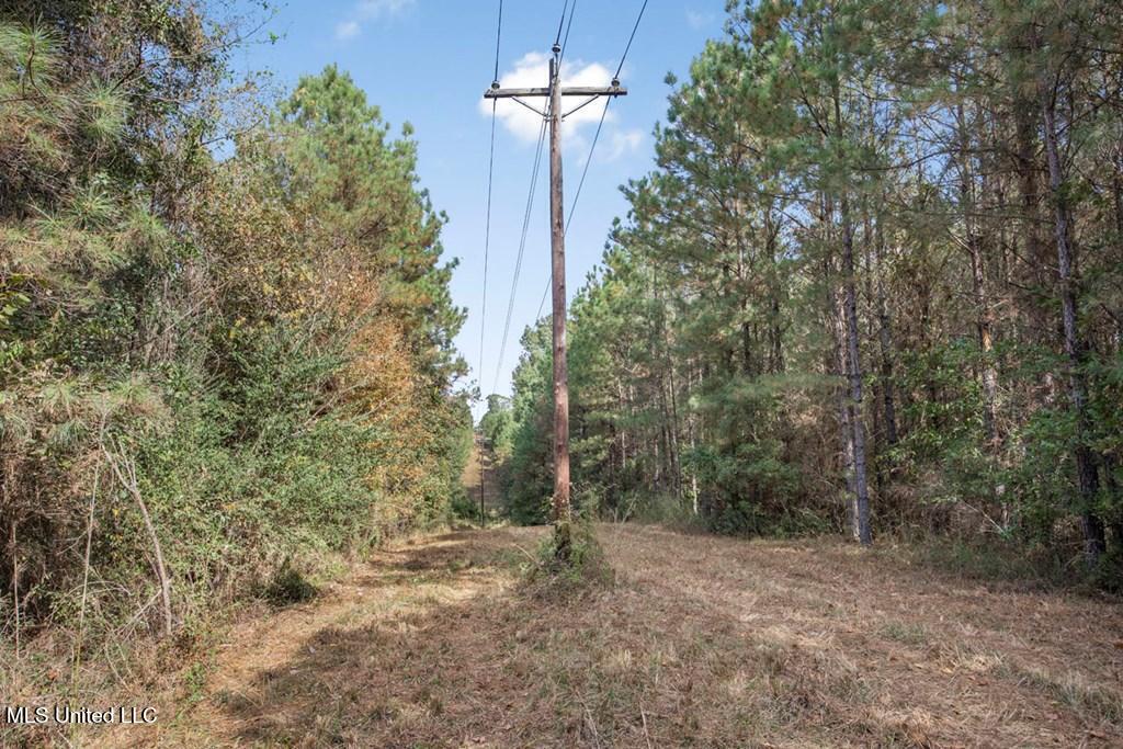 6037 Ms-33 Roxie, MS 39661 - Photo 2 of 8 getimageonline (1)