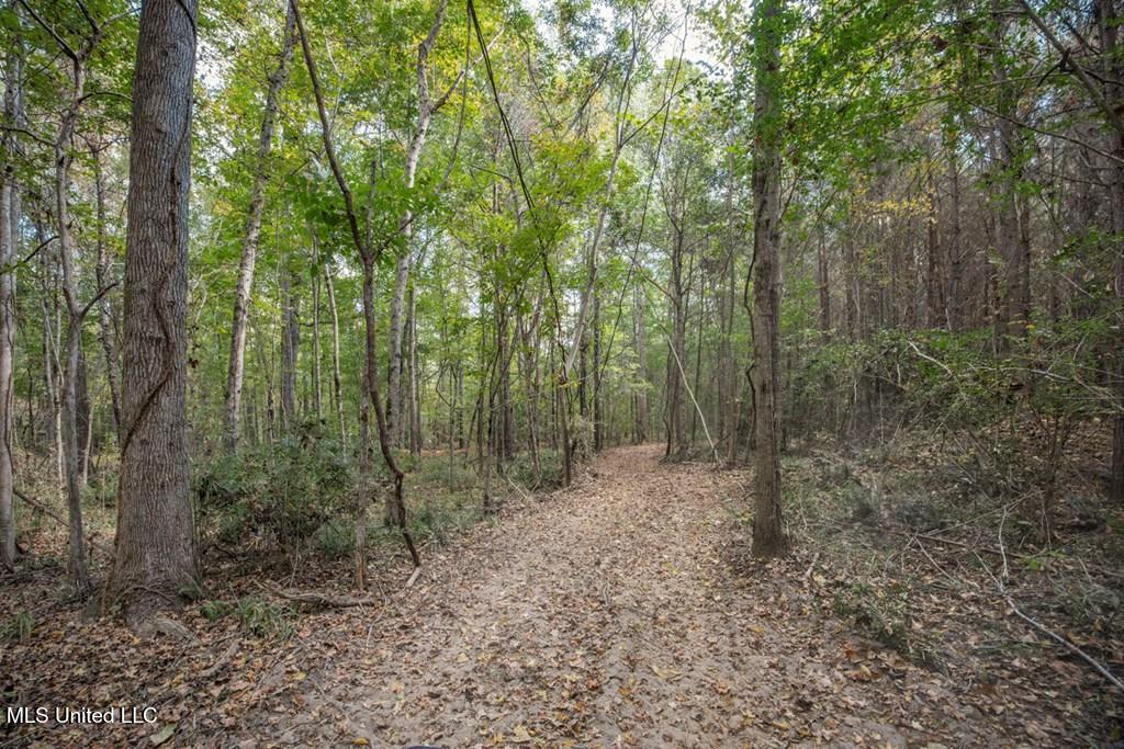 6037 Ms-33 Roxie, MS 39661 - Photo 3 of 8 getimageonline (2)