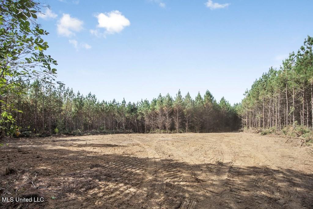 6037 Ms-33 Roxie, MS 39661 - Photo 4 of 8 getimageonline (3)