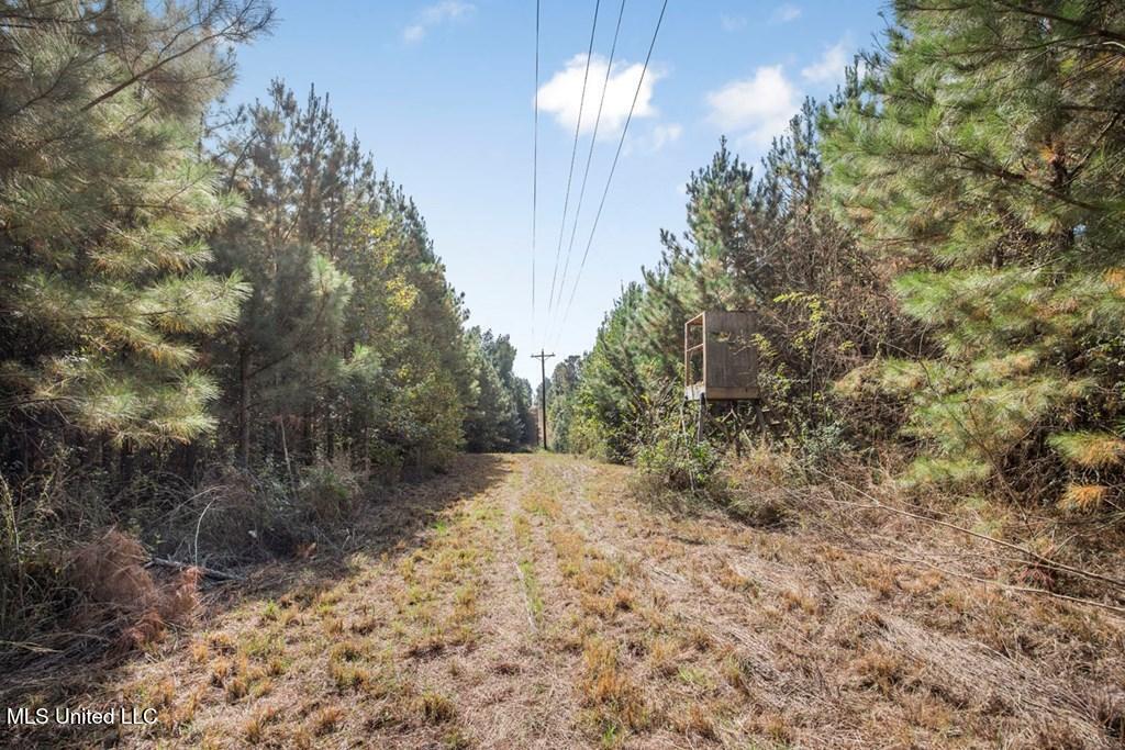 6037 Ms-33 Roxie, MS 39661 - Photo 5 of 8 getimageonline (4)