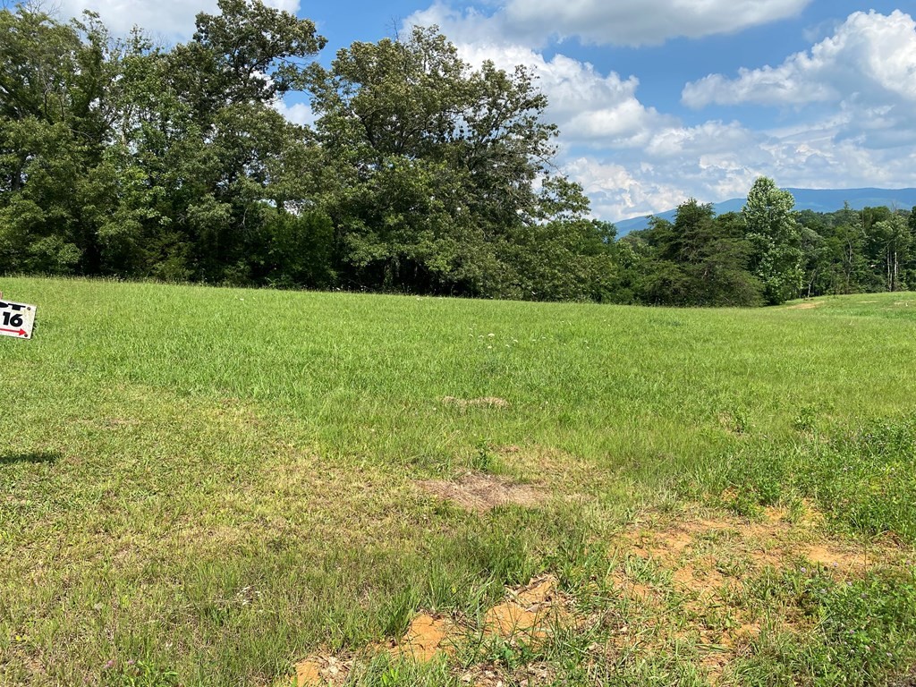 16 Buttercup Way Newport, TN 37821 - Photo 7 of 7