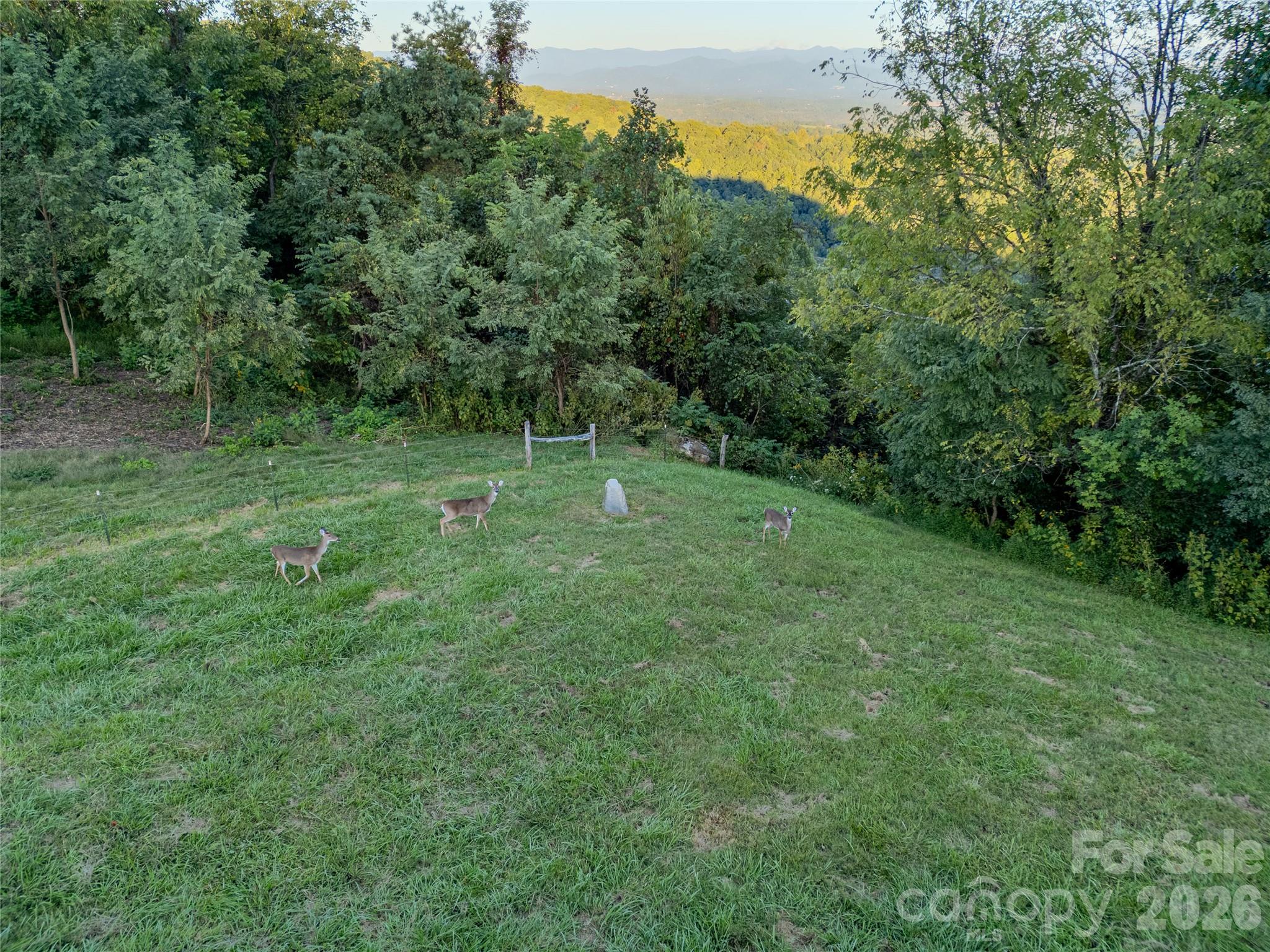 1045 Graham Road Marshall, NC 28753 - Photo 9 of 12 Gallery Image 9