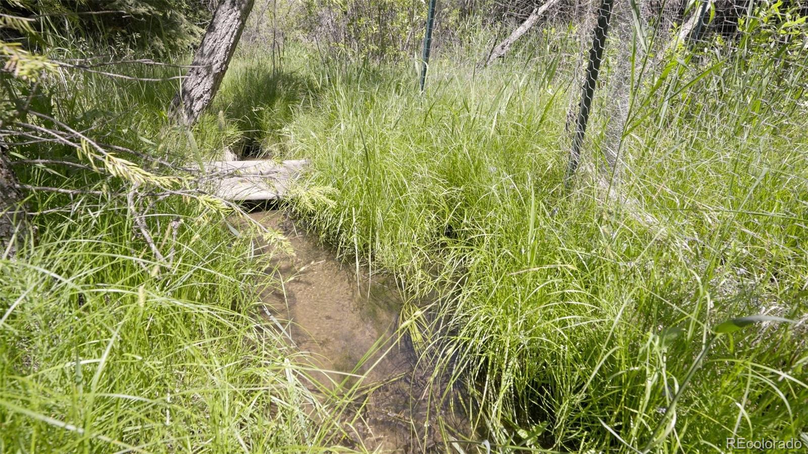16468 Ouray Road Pine, CO 80470 - Photo 34 of 39