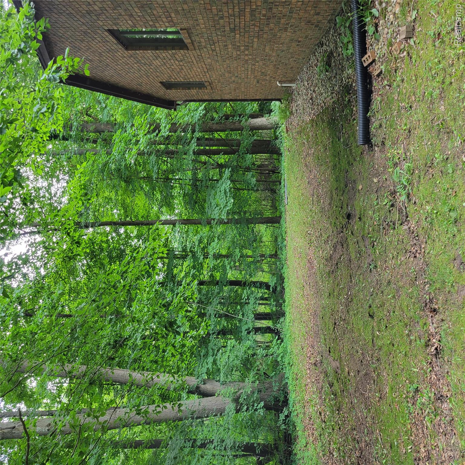 9345 Weber Road Columbus, MI 48063 - Photo 11 of 37 20260725_161733.jpg