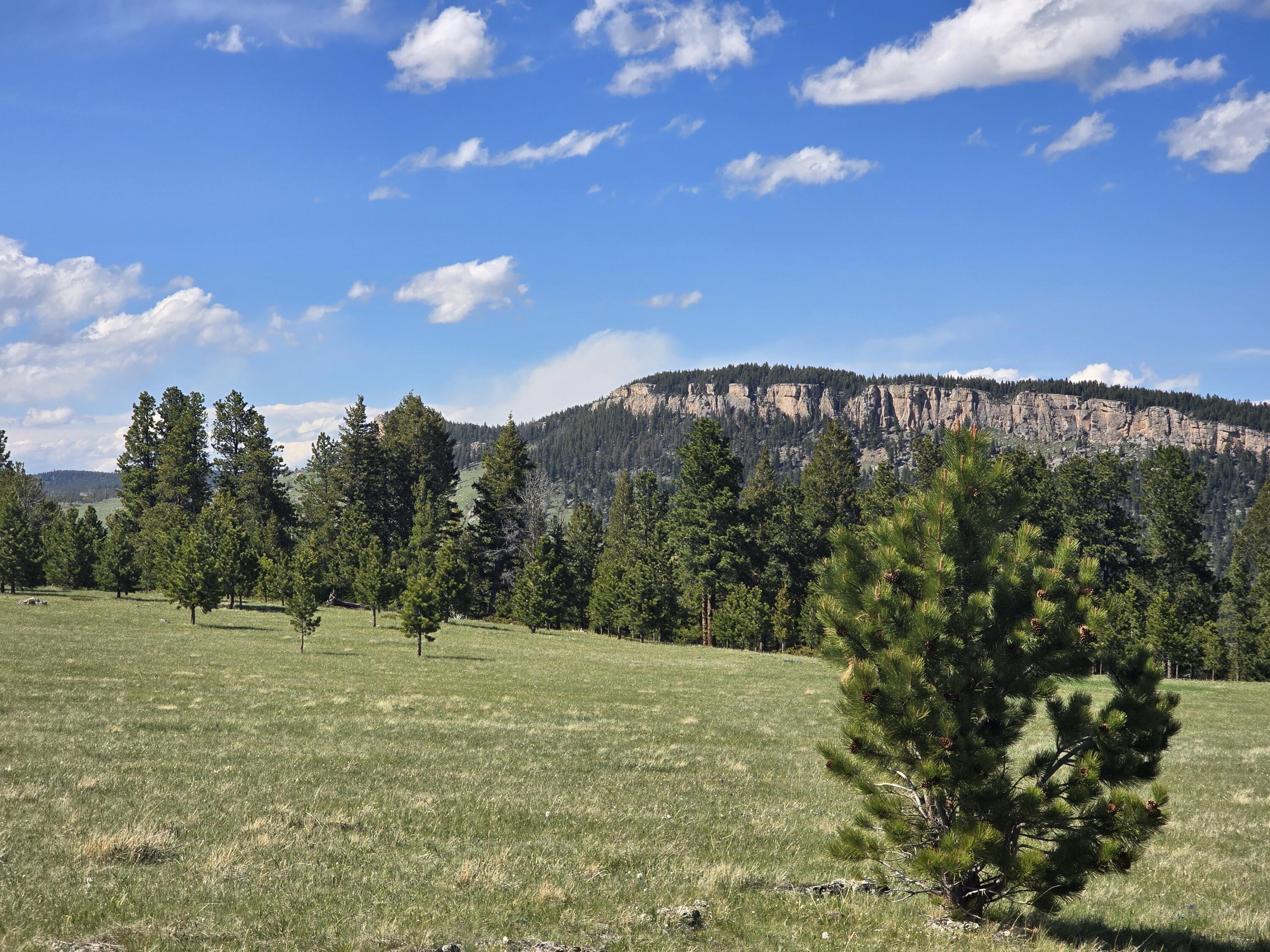 Yarrow Road Buffalo, WY 82834 - Photo 2 of 13 1000024226