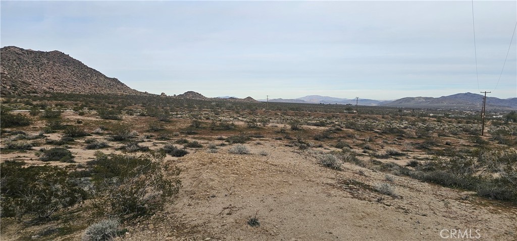 0 Pleasant View Lane Landers, CA 92285 - Photo 5 of 6