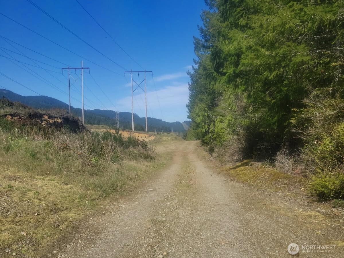 7611 North Triton Heights Road Lilliwaup, WA 98555 - Photo 20 of 35 a view of a yard