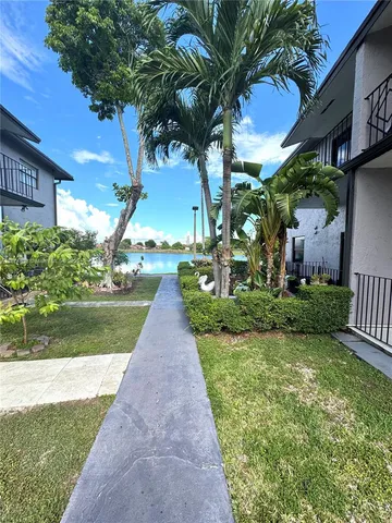 a view of a garden with plants