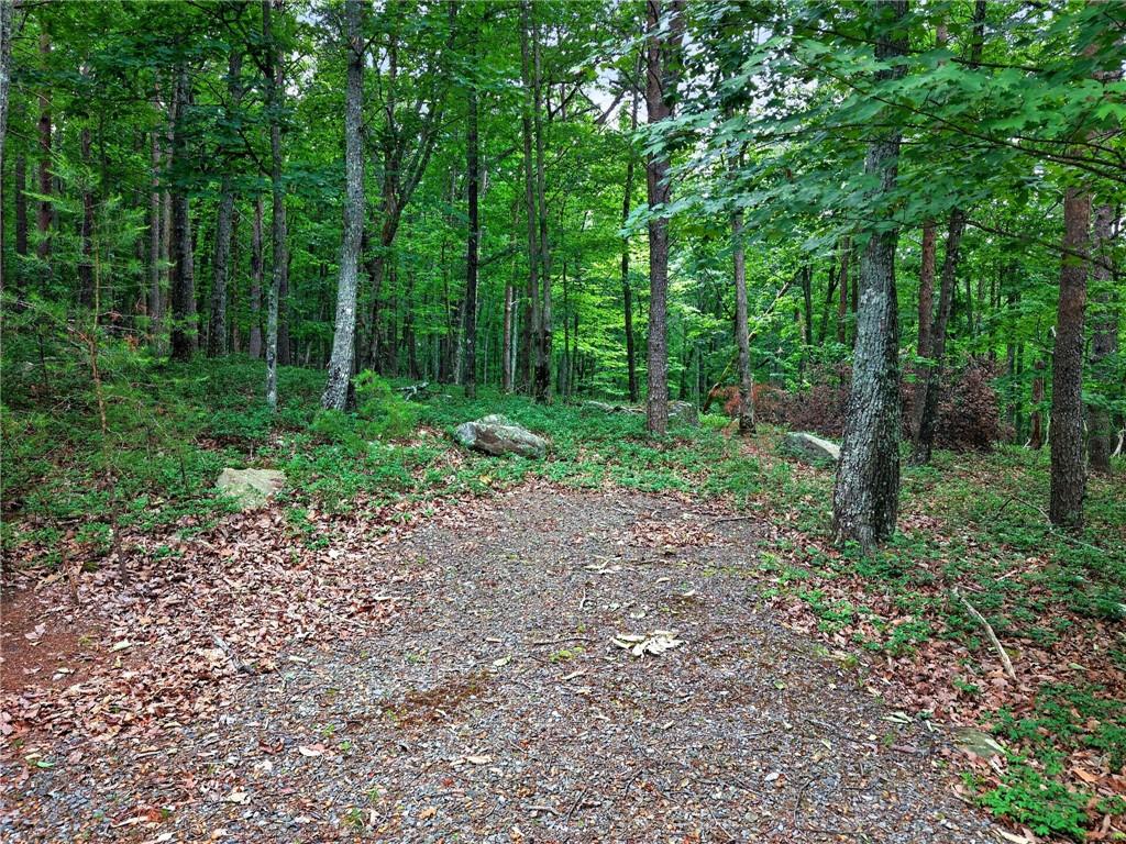 0 Ridgeside Court Jasper, GA 30143 - Photo 19 of 22 a view of a forest with trees in the background