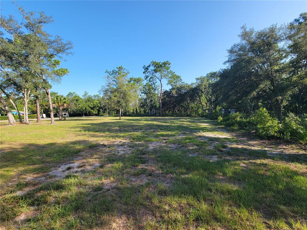 2075 South Colonial Avenue Homosassa, FL 34448 - Photo 1 of 5