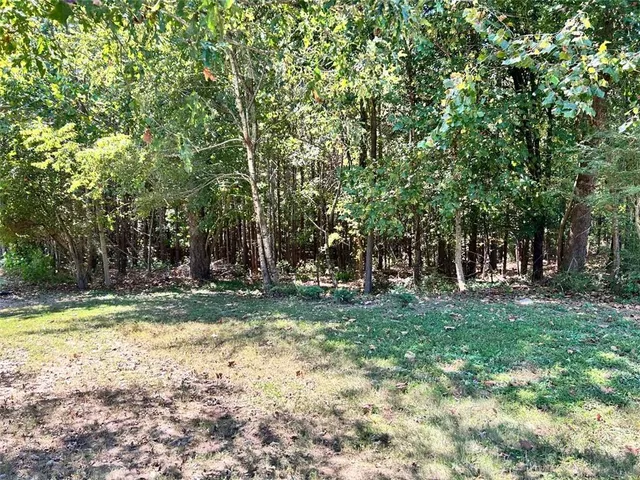 a view of a yard with a tree
