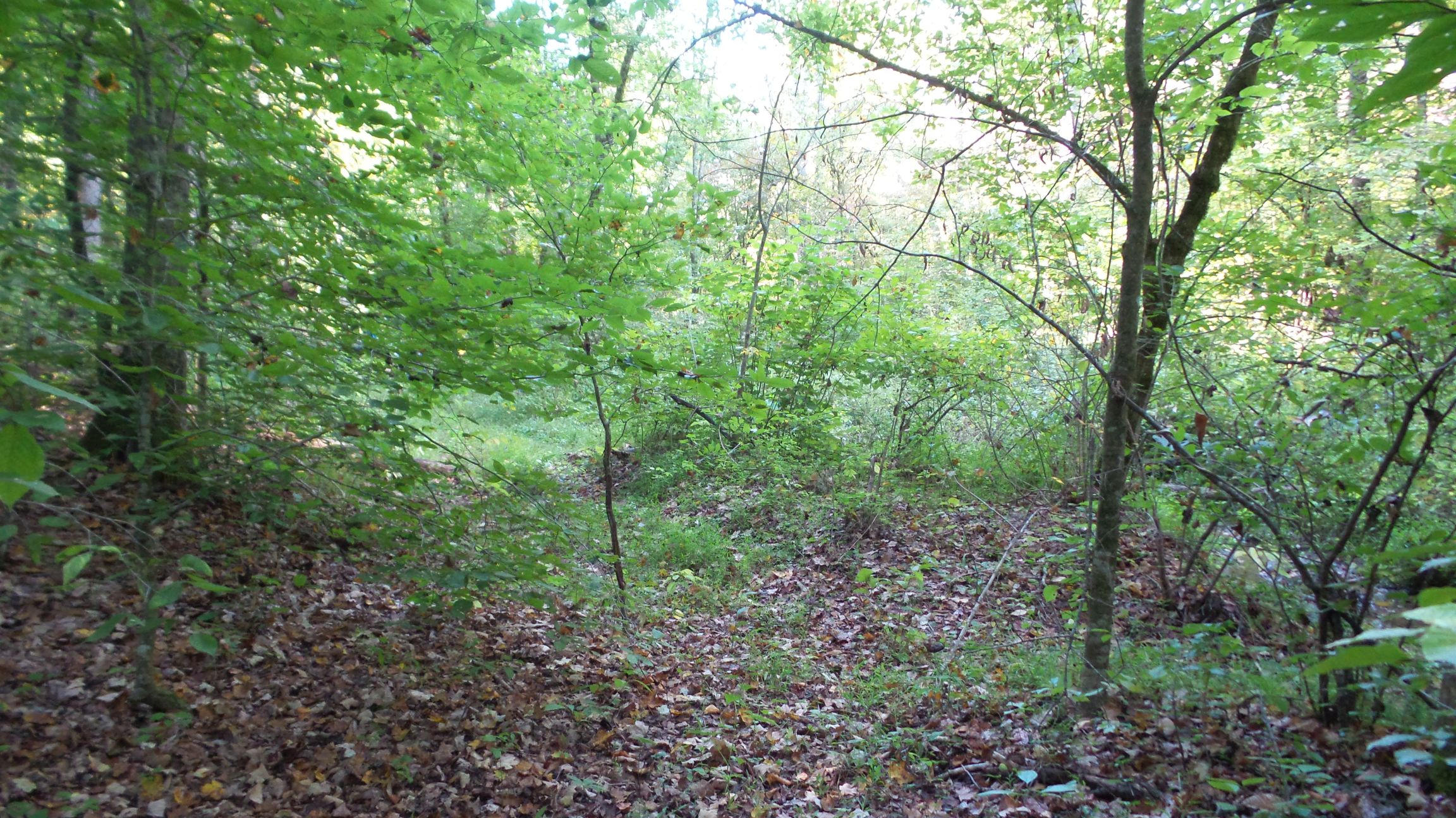 4128 Snyder Road Kodak, TN 37764 - Photo 2 of 20 20140926_063431