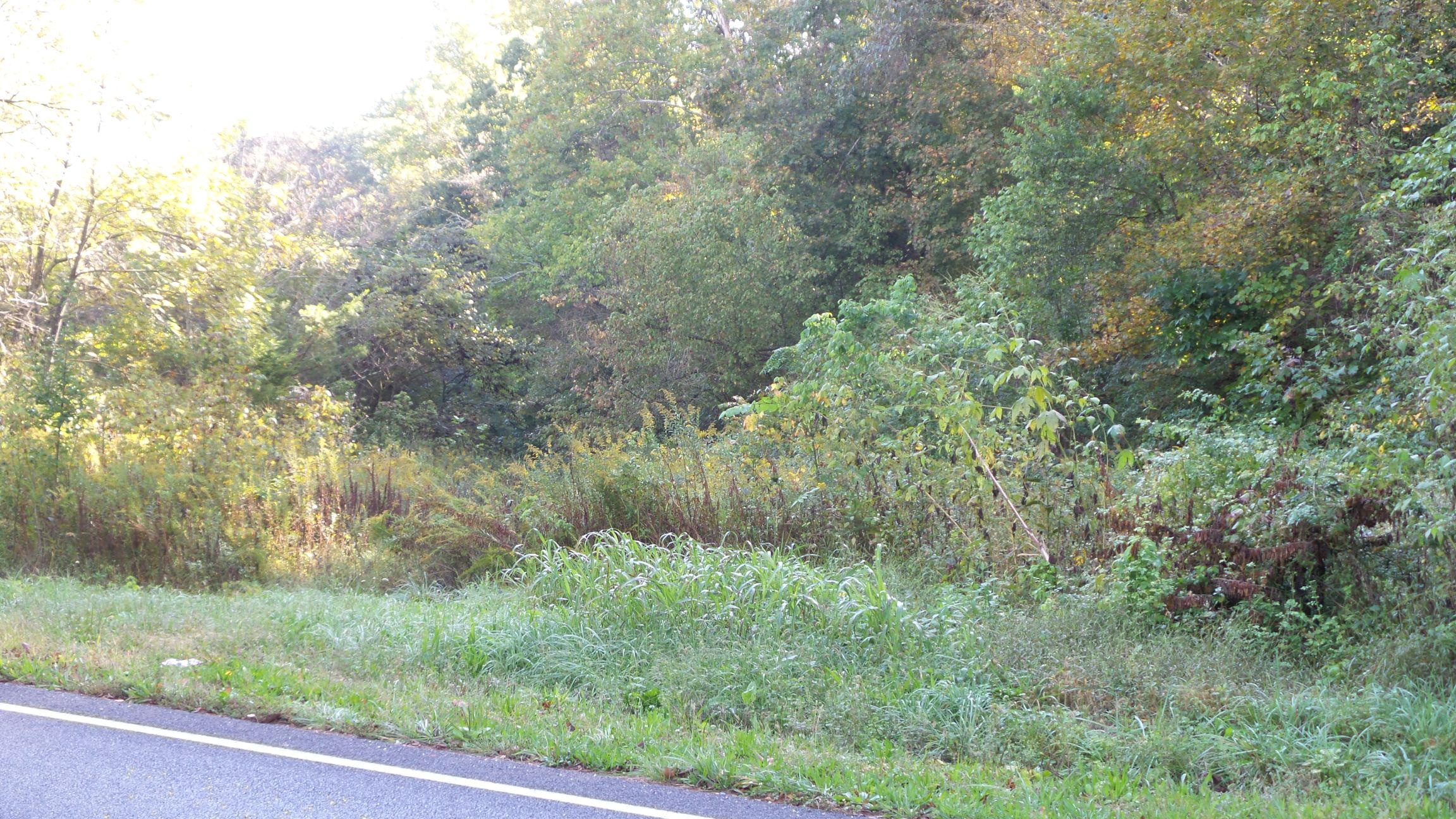 4128 Snyder Road Kodak, TN 37764 - Photo 12 of 20 20140926_060620