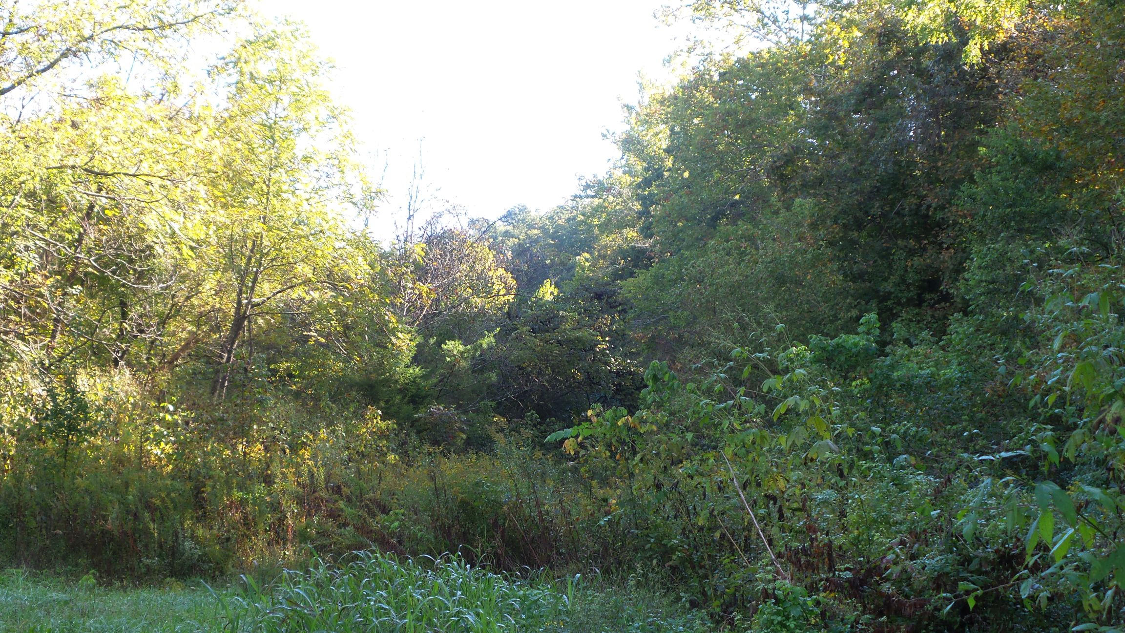 4128 Snyder Road Kodak, TN 37764 - Photo 13 of 20 20140926_060637