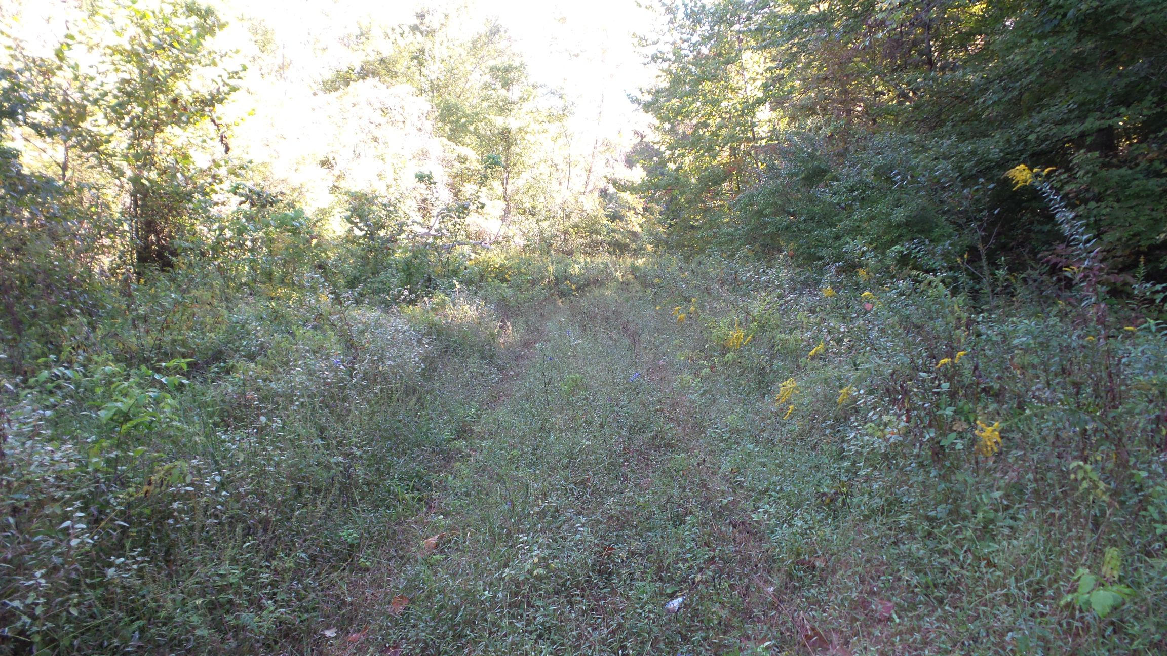 4128 Snyder Road Kodak, TN 37764 - Photo 14 of 20 20140926_062642