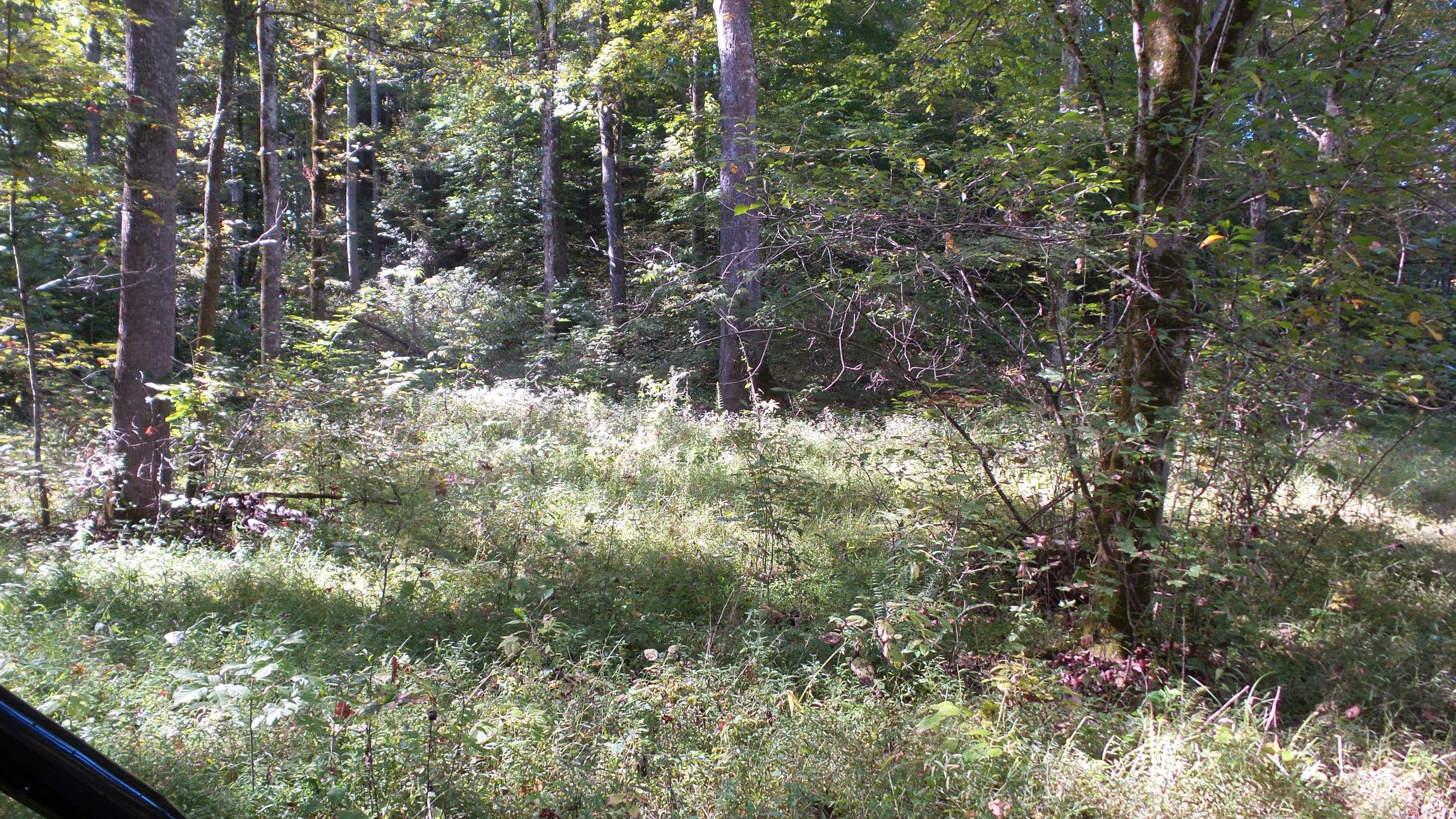 4128 Snyder Road Kodak, TN 37764 - Photo 16 of 20 20140926_063601
