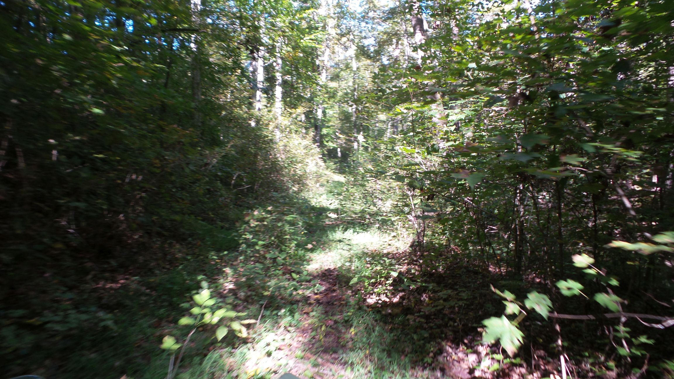 4128 Snyder Road Kodak, TN 37764 - Photo 18 of 20 20140926_065442