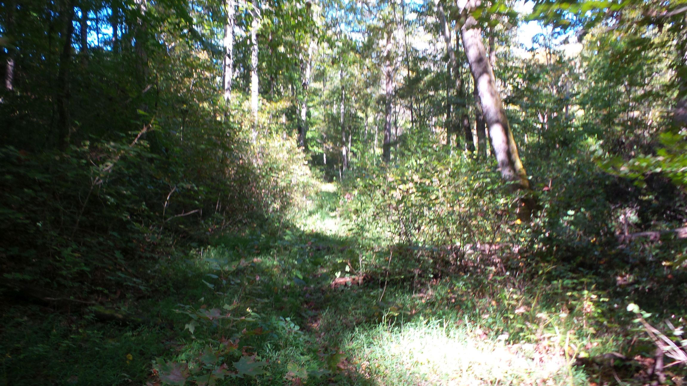 4128 Snyder Road Kodak, TN 37764 - Photo 19 of 20 20140926_065445