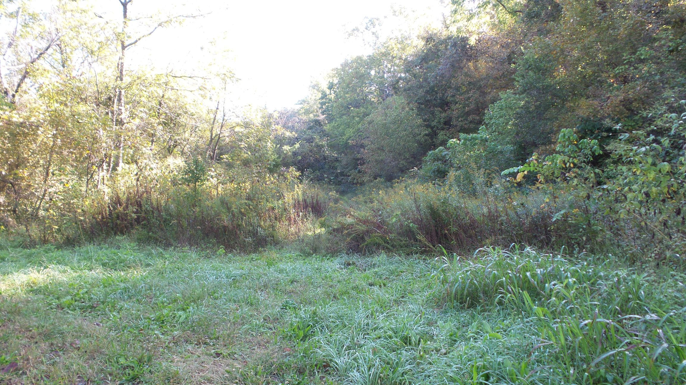 4128 Snyder Road Kodak, TN 37764 - Photo 3 of 20 20140926_060649